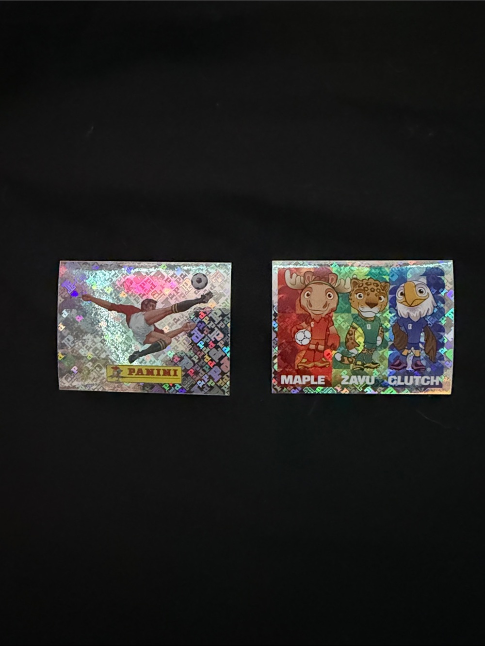 Panini FIFA World Cup Stickers